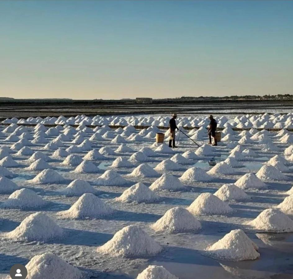 Fiore Di Marte Marsala Esterno foto
